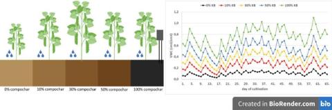 The combination of compochar with soil (30 %) was found to positively affect the (i) soil moisture, (ii) crop yield, and (iii) nutritional properties of peas and beans and (iv) the ability of plants to withstand drought stress.