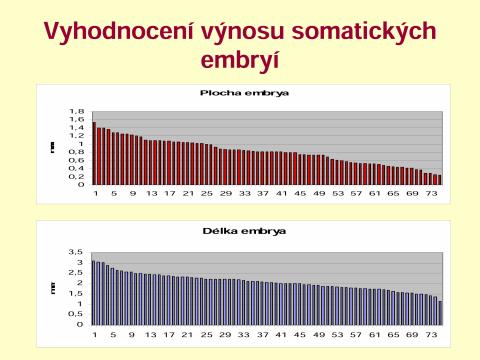Průběh somatické embryogeneze smrku včetně hodnocení výnosů 10