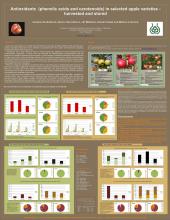 Phenolic acids and carotenoids in apples