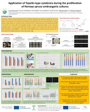 Conference Trees for the future: Cloning and beyond, Coimbra, Portugal, 12-14 May 2025